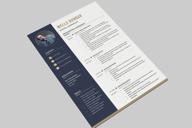 Professional CV Sample